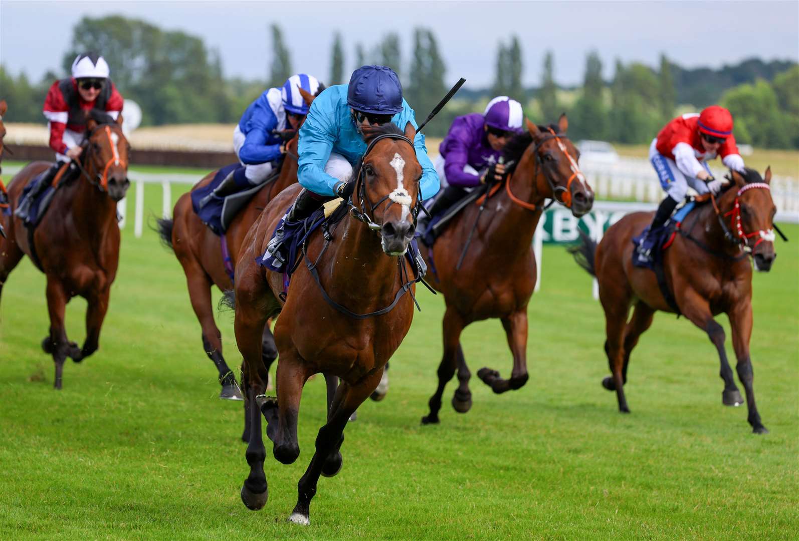 Action returns to Newbury Racecourse