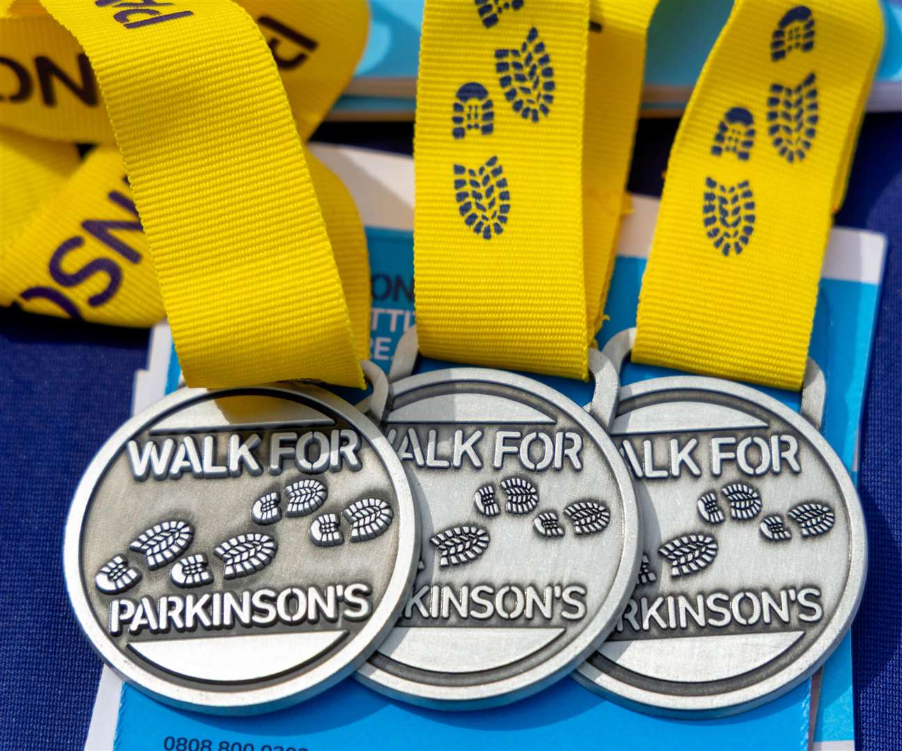 Parkinson charity walk at Victoria Park