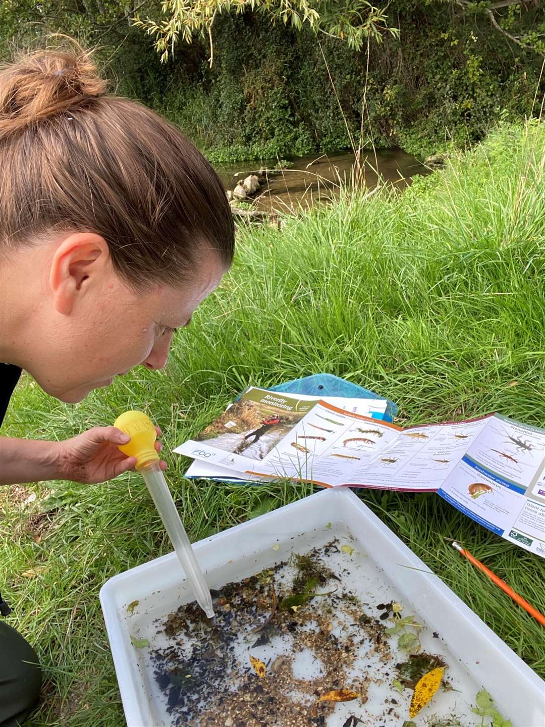 Education and environment officer, Dr Liz Mattison, examines a sample