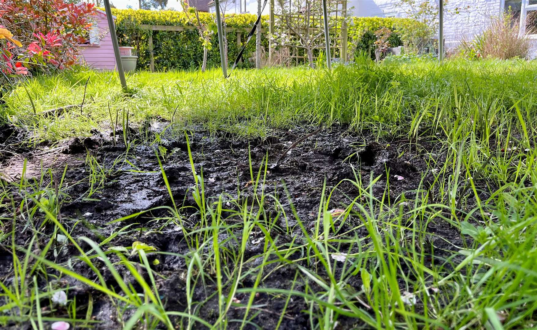 Pool of human waste at the bottom of Mrs Howlett’s garden — at the lowest level it has been. Credit: Mirek Gosney