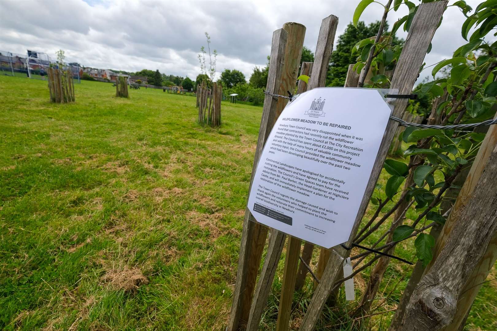 City recreation ground in Newbury. (56818177)
