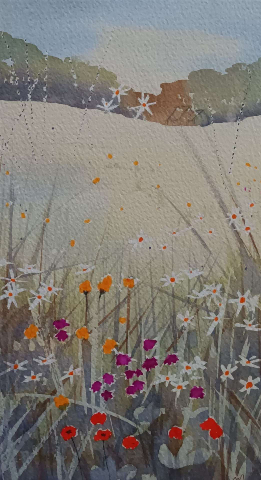 MandiSA watercolour
