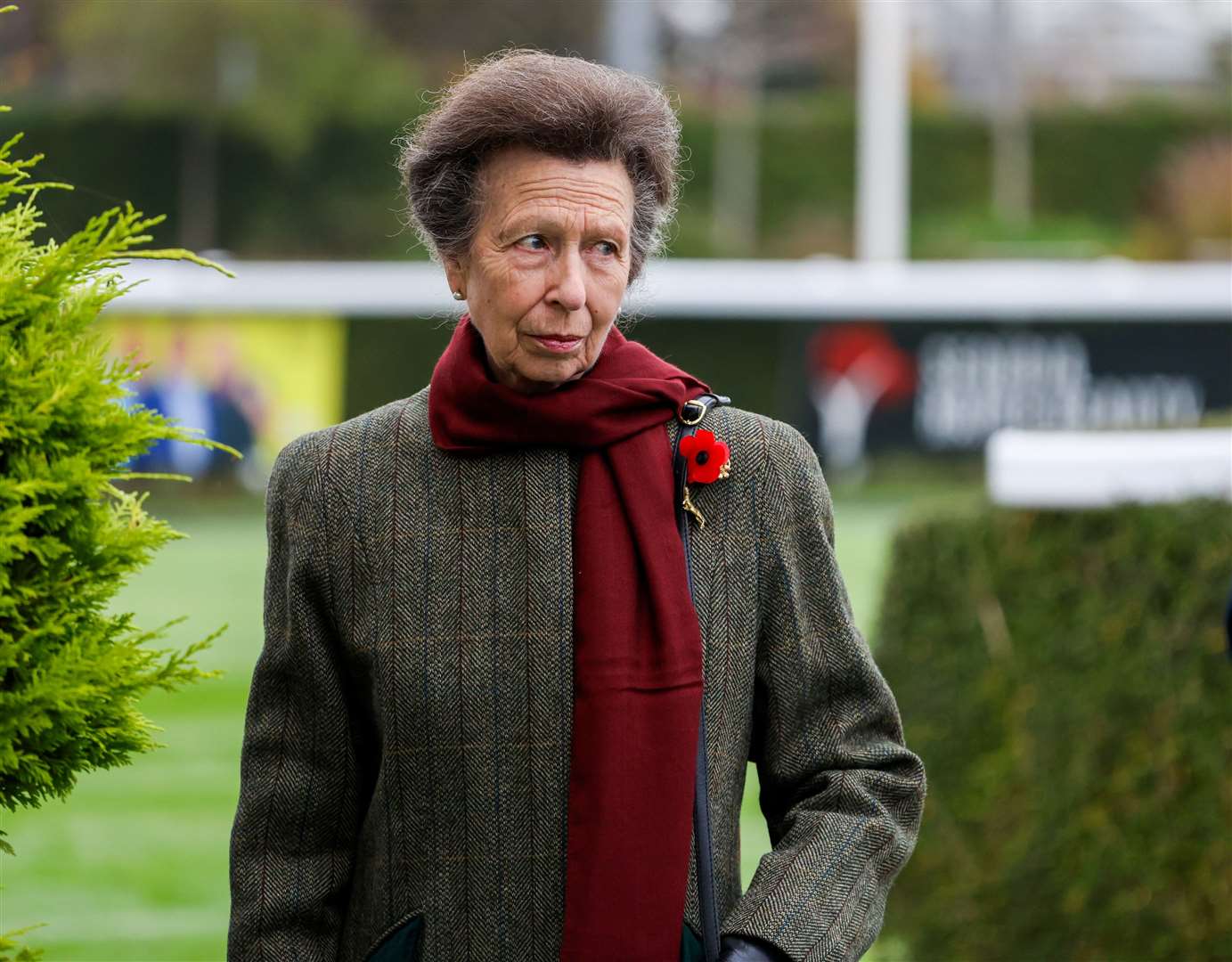 Princess Anne at Newbury Racecourse