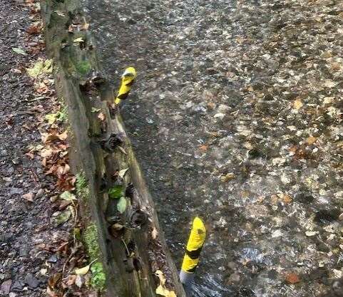 The metal stakes which wounded Cassie at Gailey Mill. Credit: Charlotte Sutton