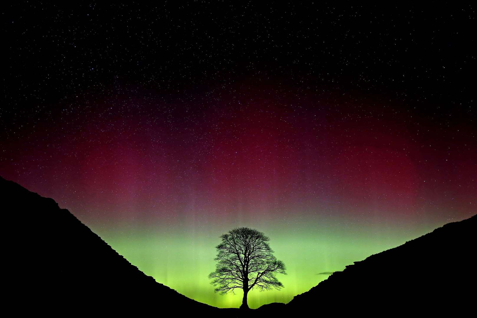 The Sycamore Gap tree at Hadrian’s Wall (Owen Humphreys/PA)