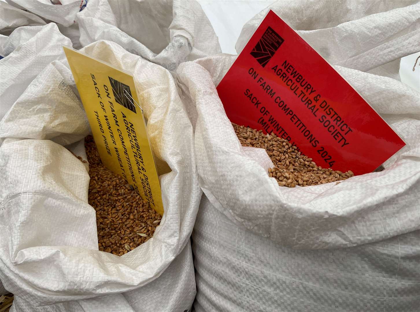 Some of the grains entered into this year's Newbury Show