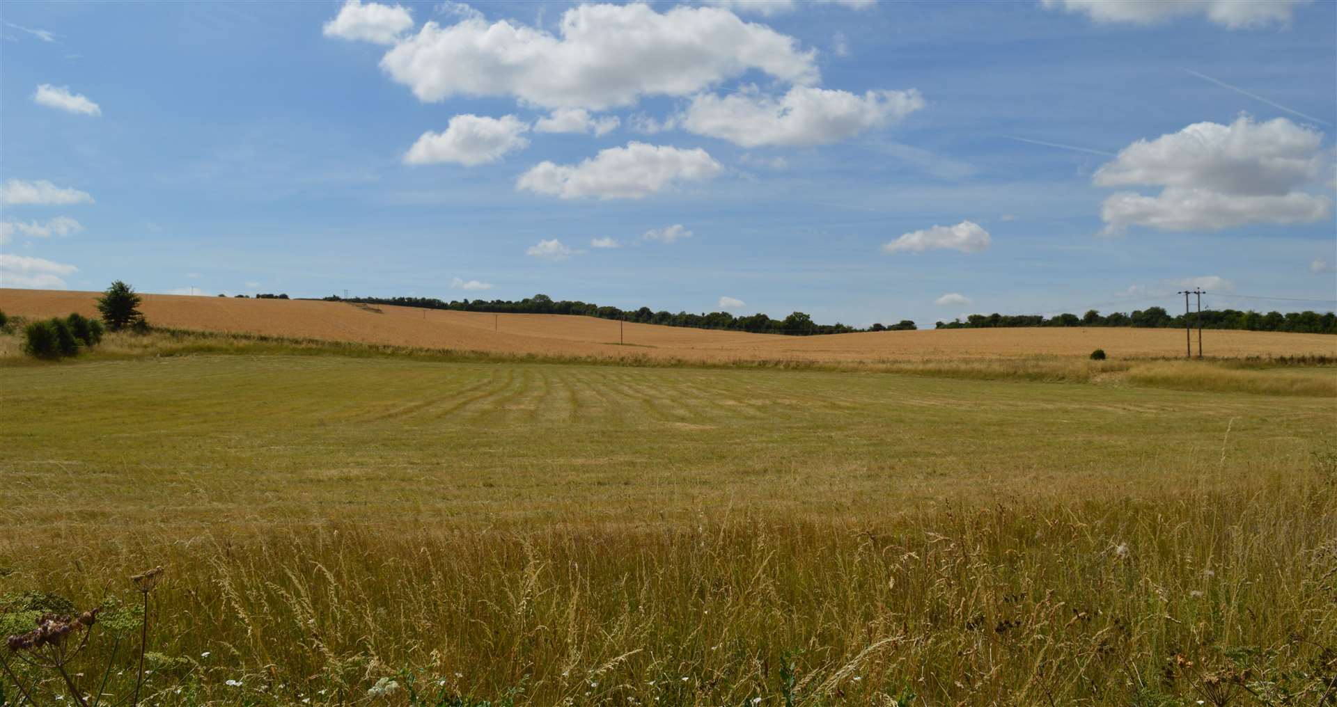 Now just an empty field