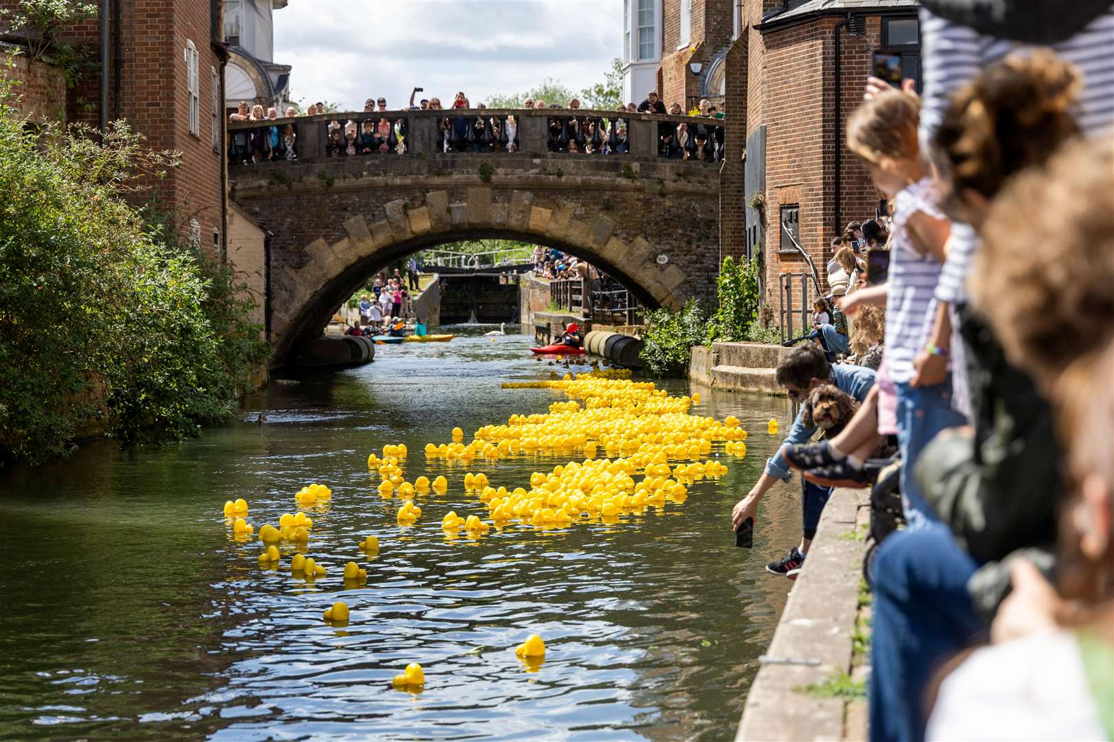 Newbury Duck Race