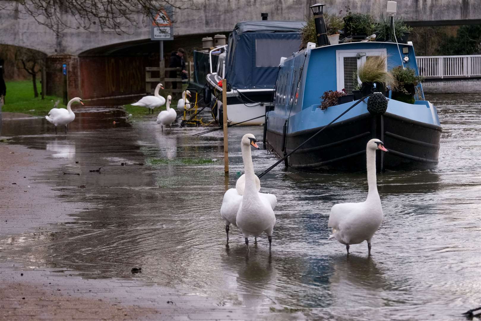 Newbury flooding: the Kennet and Avon canal burst its banks in the centre of Newbury at the weekend