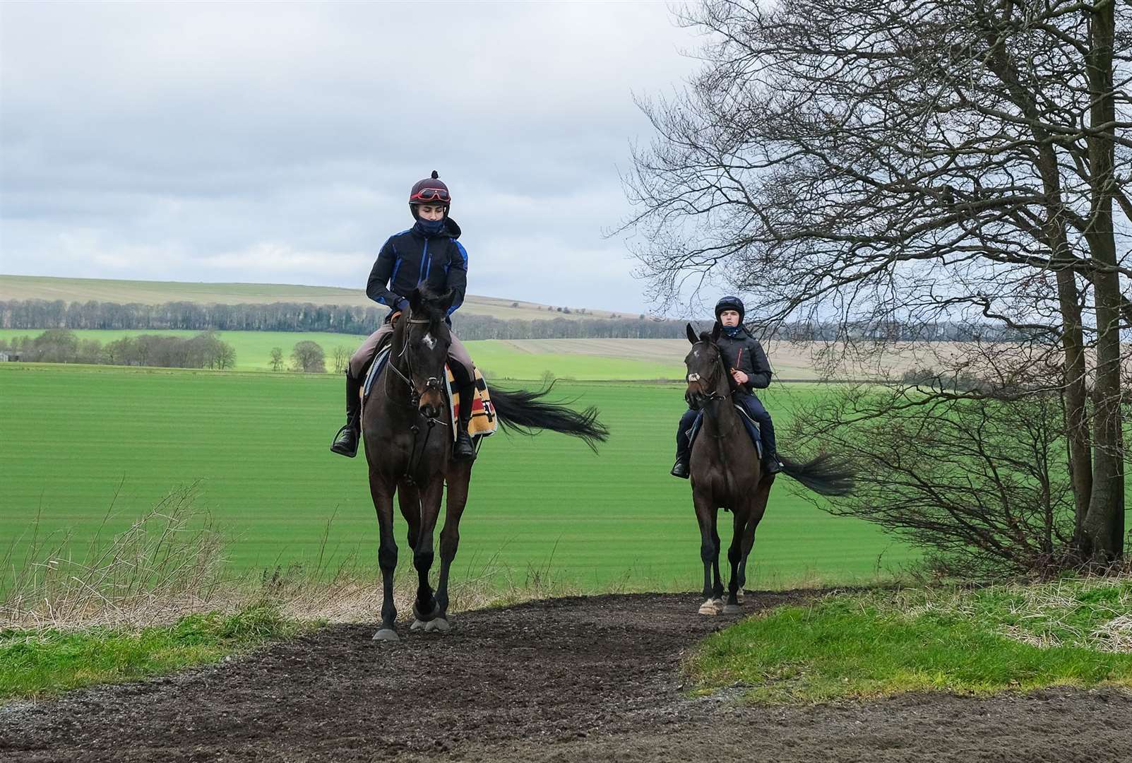 Shishkin looks calm before the Cheltenham Festival