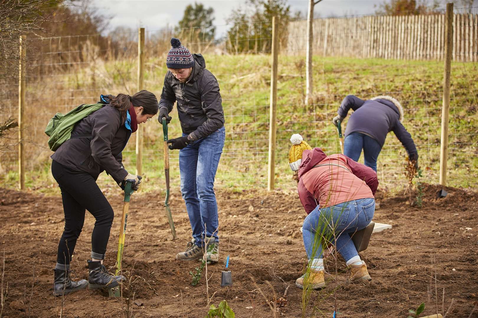 The Tiny Forest is planted at West Berkshire Community Hospital