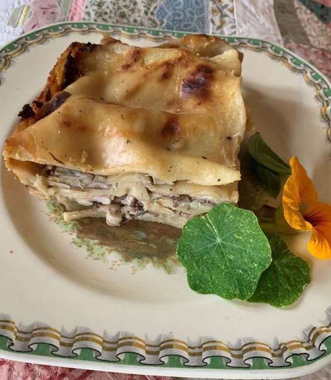 Cep lasagna