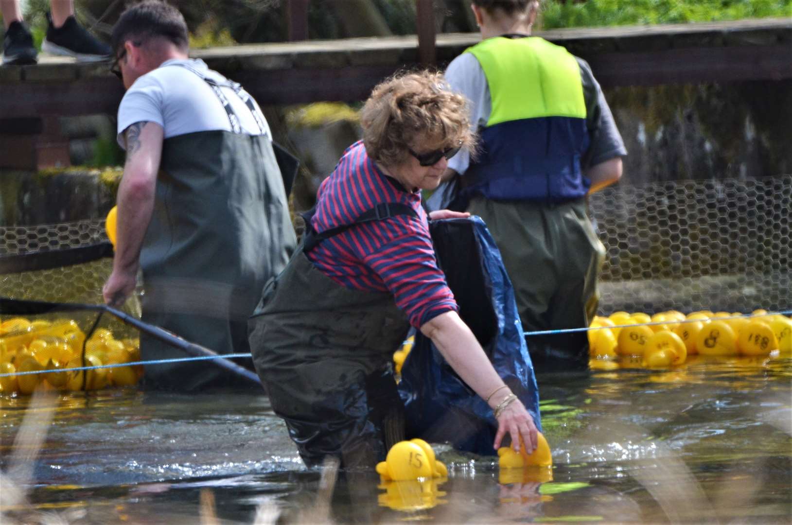 East Shefford duck derby. (56131383)