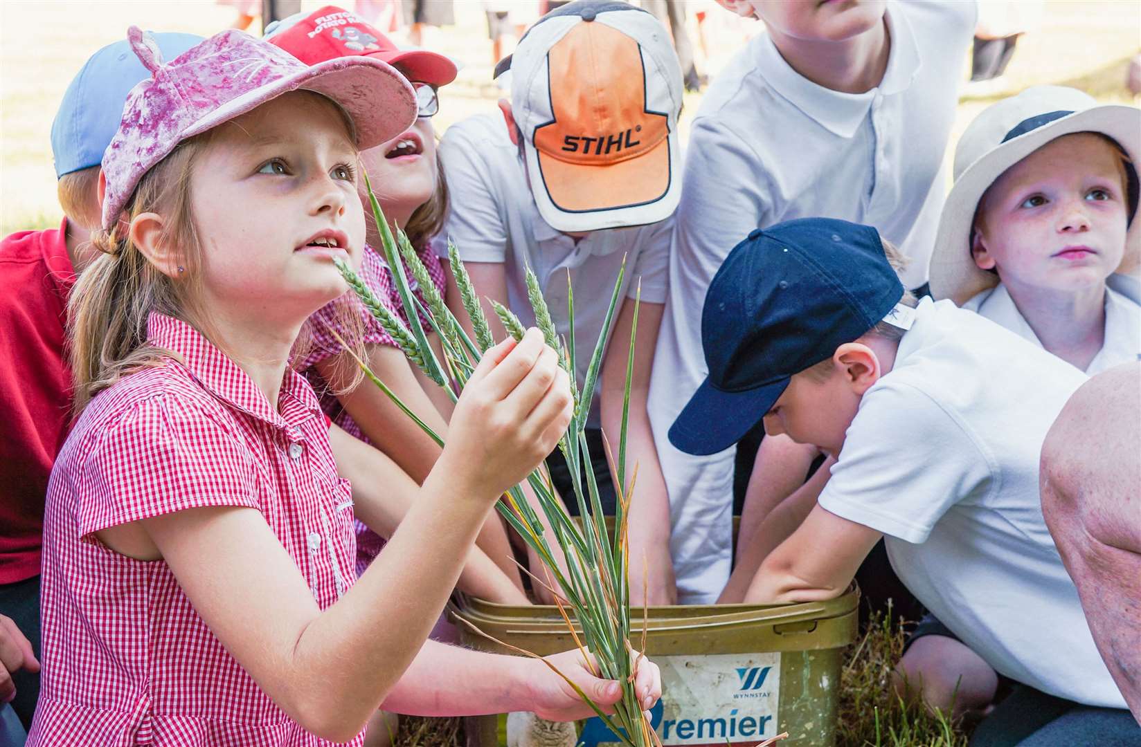 Green-fingered Hampstead Norreys Primary School pupils learn more about farming and rural life