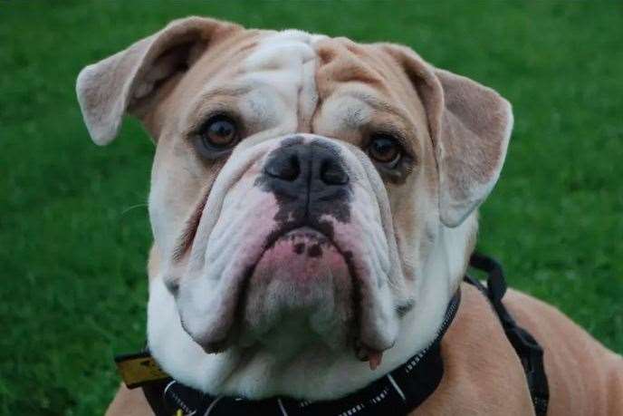 Winston