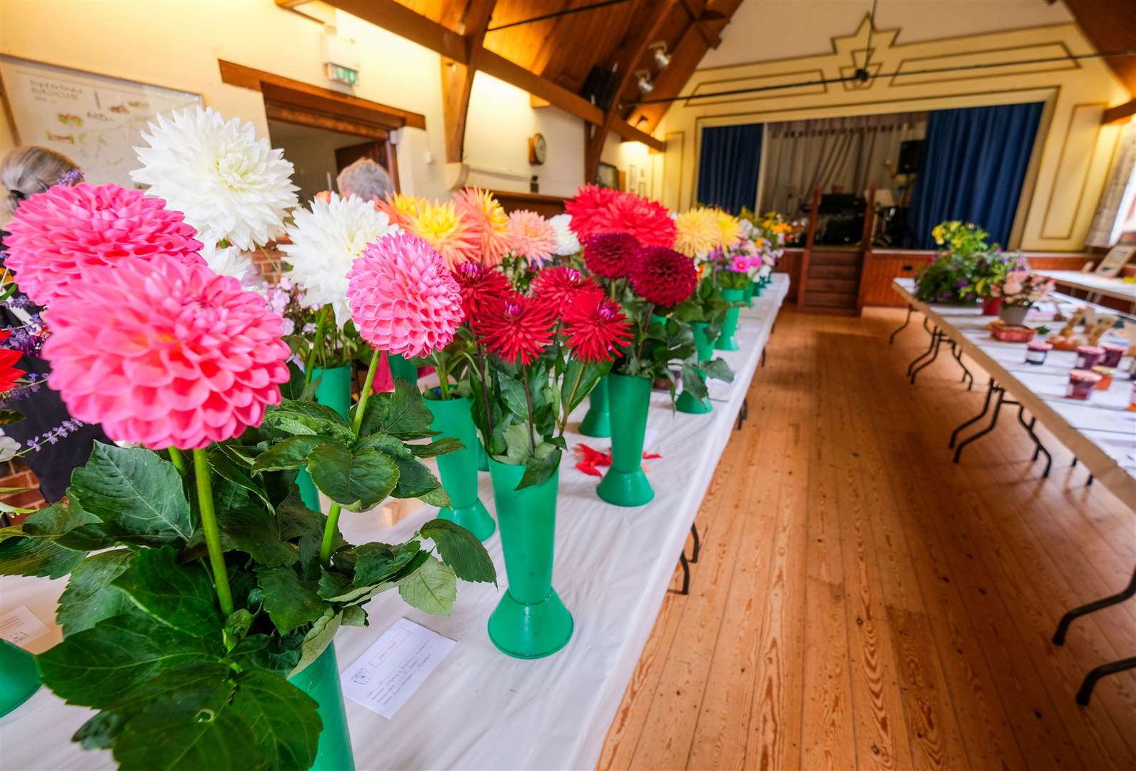 This was the 90th edition of the Burghclere and Newtown Horticultural Society summer show