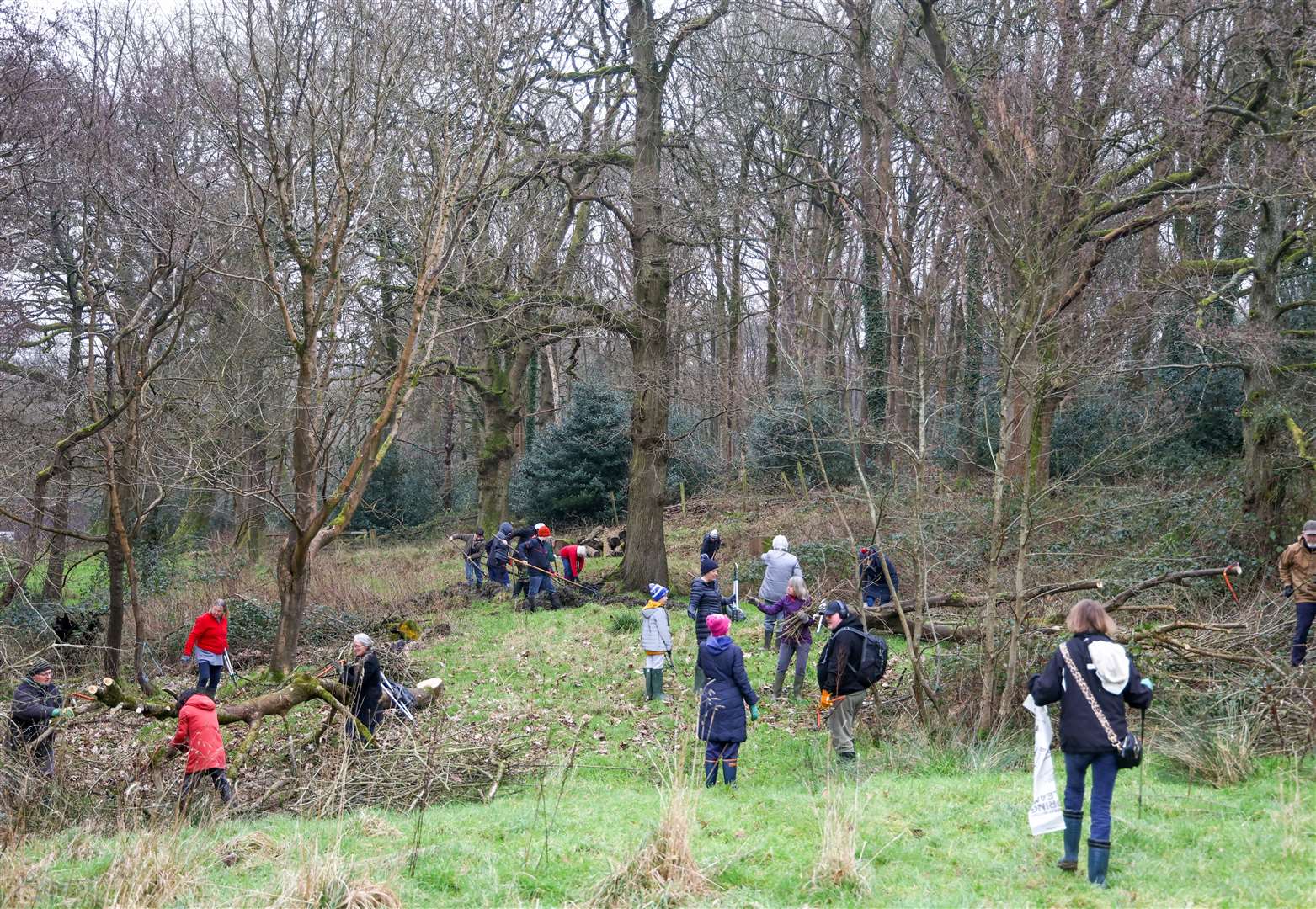 Audrey's meadow - Pond clearance