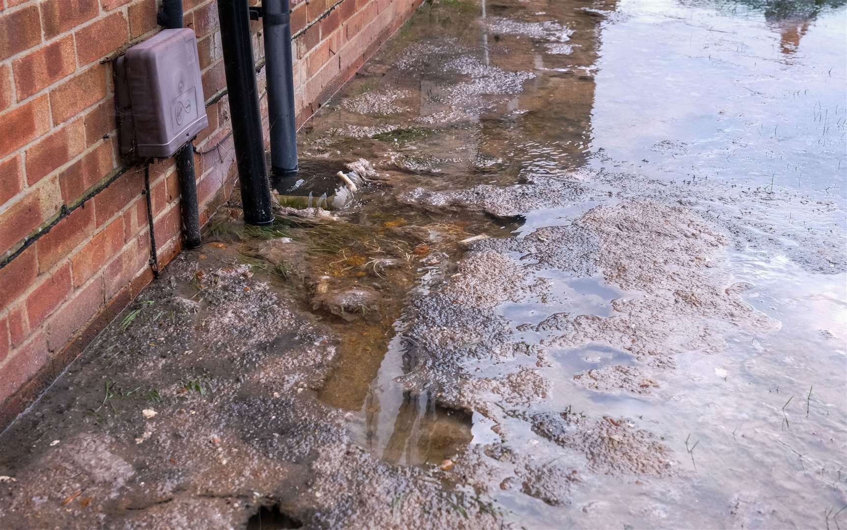 Raw sewage going into gardens in Newport Road