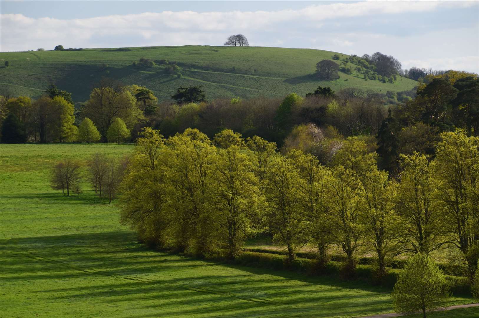Ladle Hill, pictured from the Sydmonton Court Estate, near Burghclere