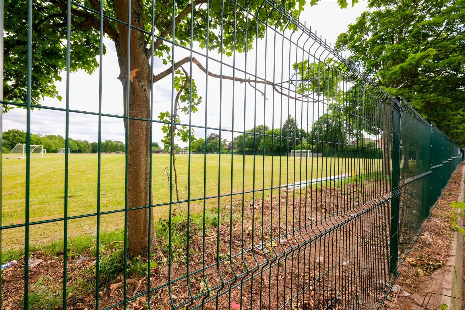 Hedgerow along Monks Lane on the boundary of Park House School cut down over half term break