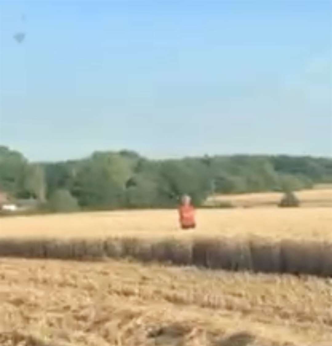 Angry picnicker tries to stop combine harvester