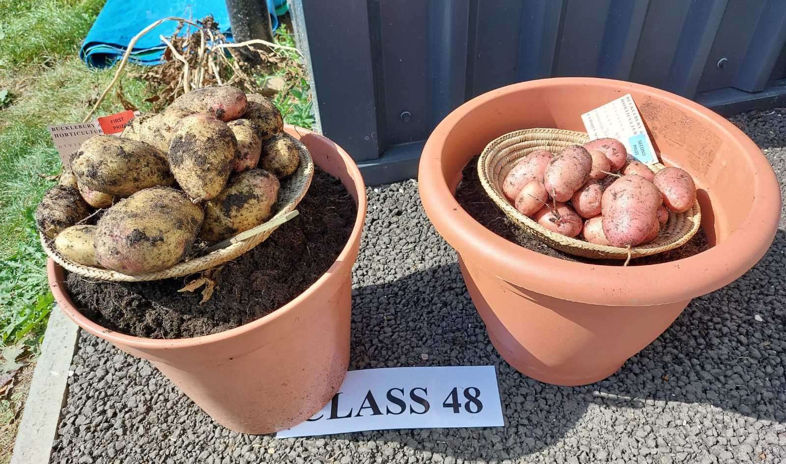 Produce on display. Credit: Thatcham Photography Club