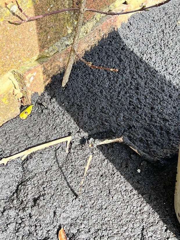 Tarmac (56461020)