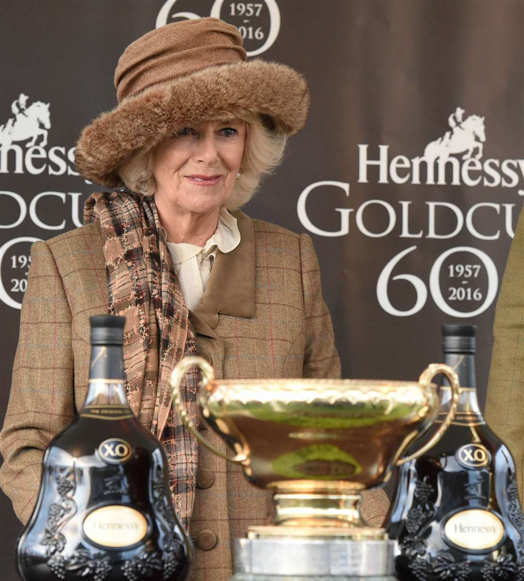 Camilla at the Hennessy Gold Cup in 2016 Ref: 48-1016A