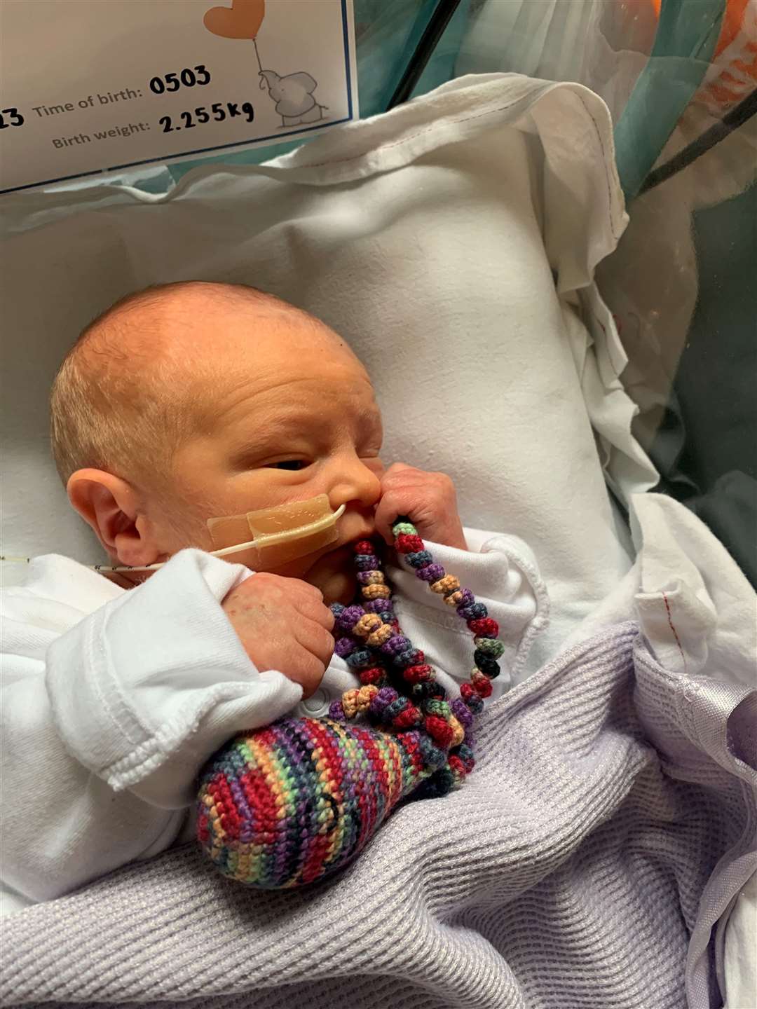 Teddy in special care after he was born in February 2023