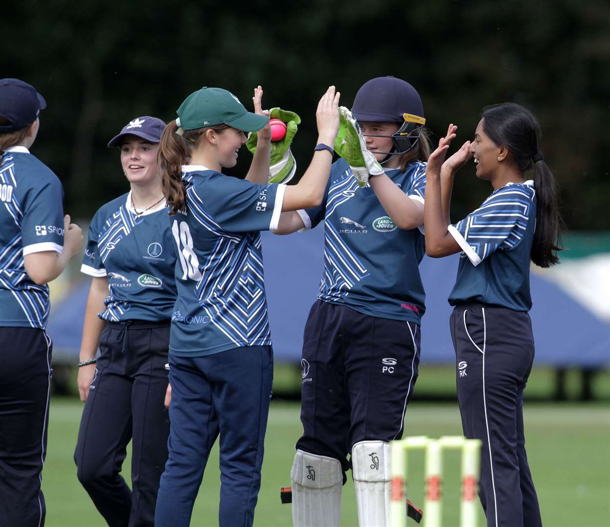 Falkland celebrate another wicket