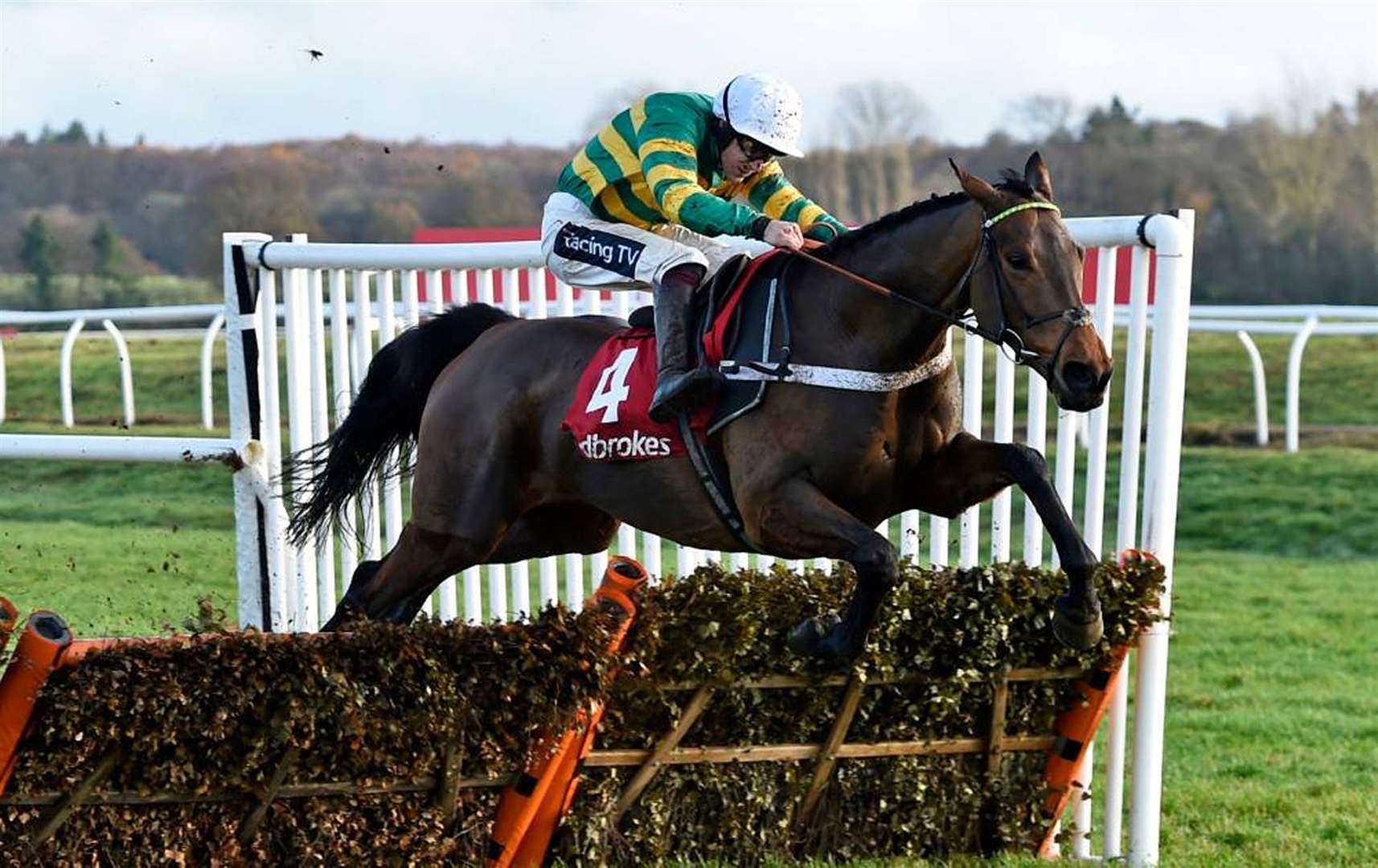 Champ at Newbury Pic: Francesca Altoft Photography