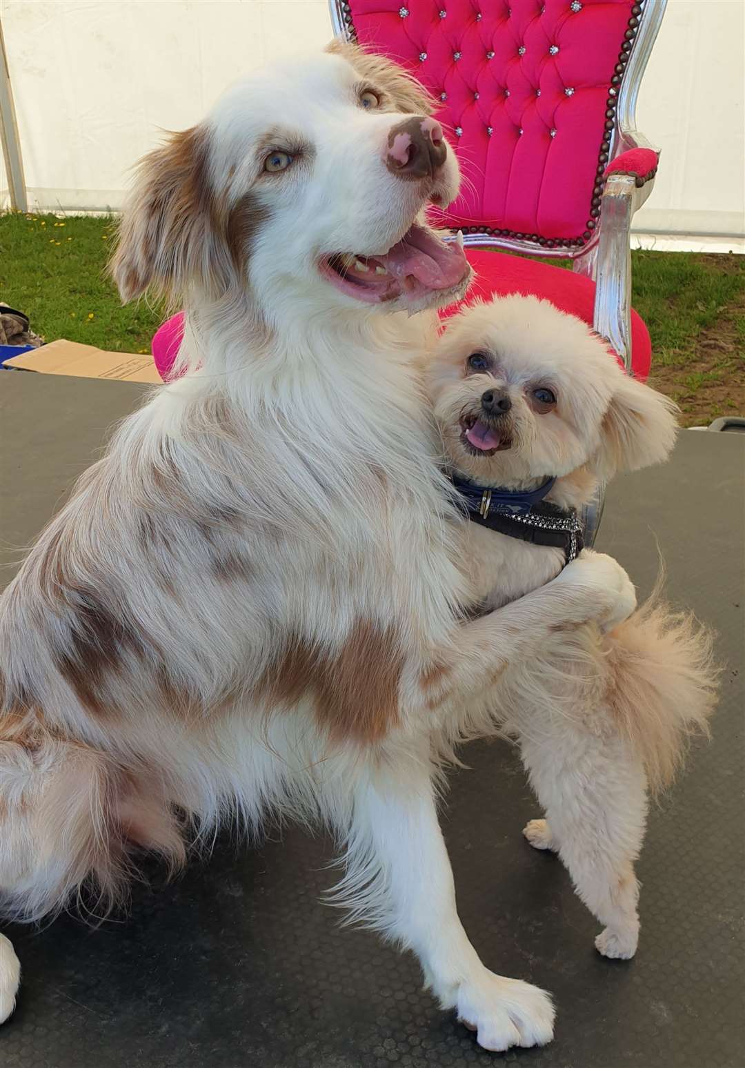 Happy for each other