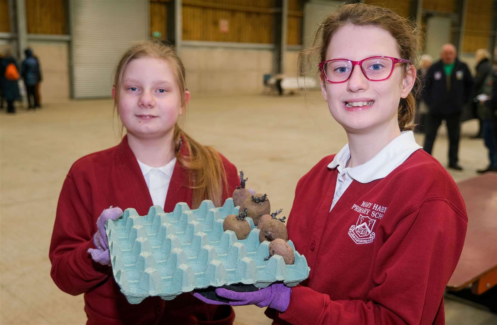 Mary Hare school pupils preparing to plant their potatoes
