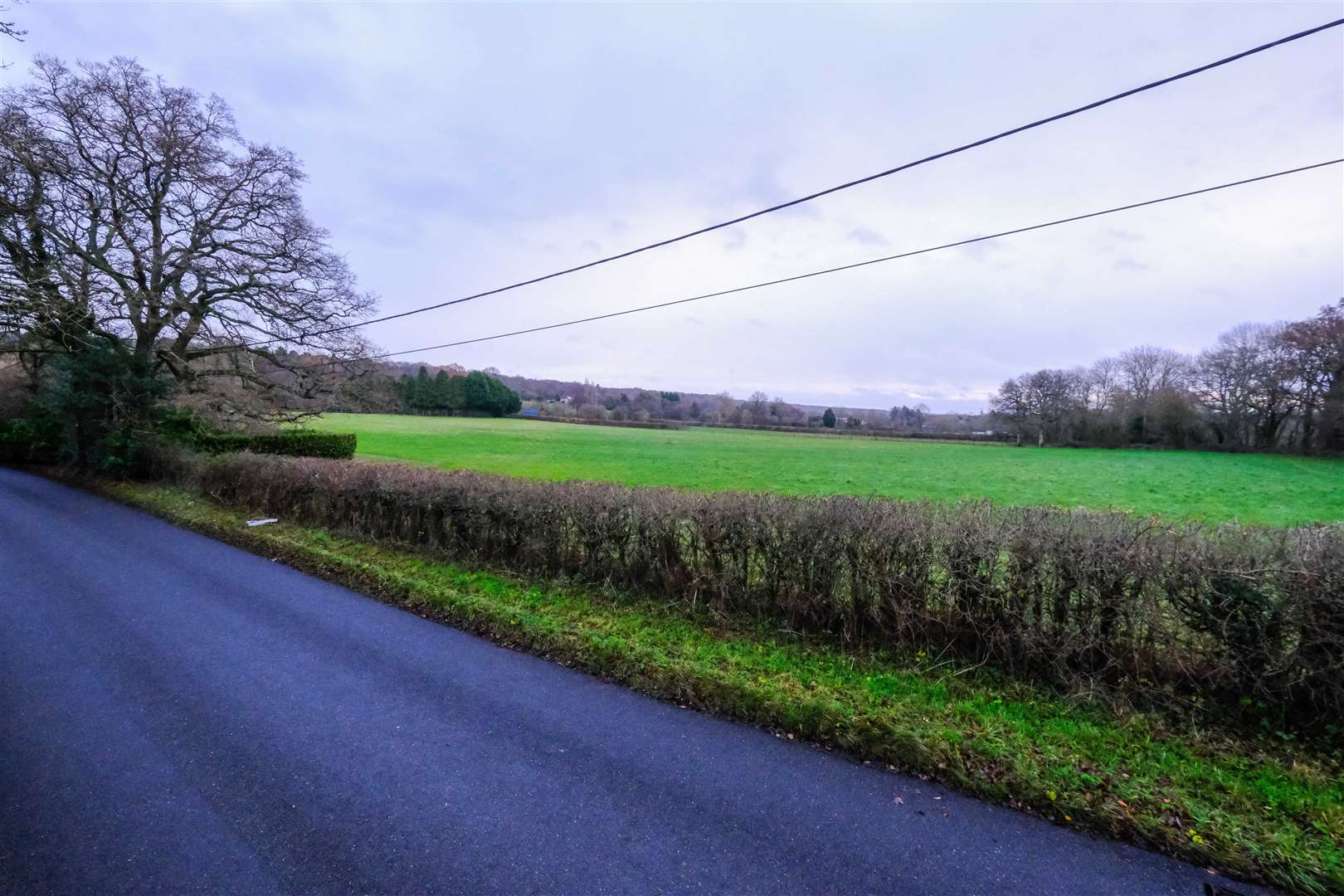 The proposed site in Bishops Green. (50621632)