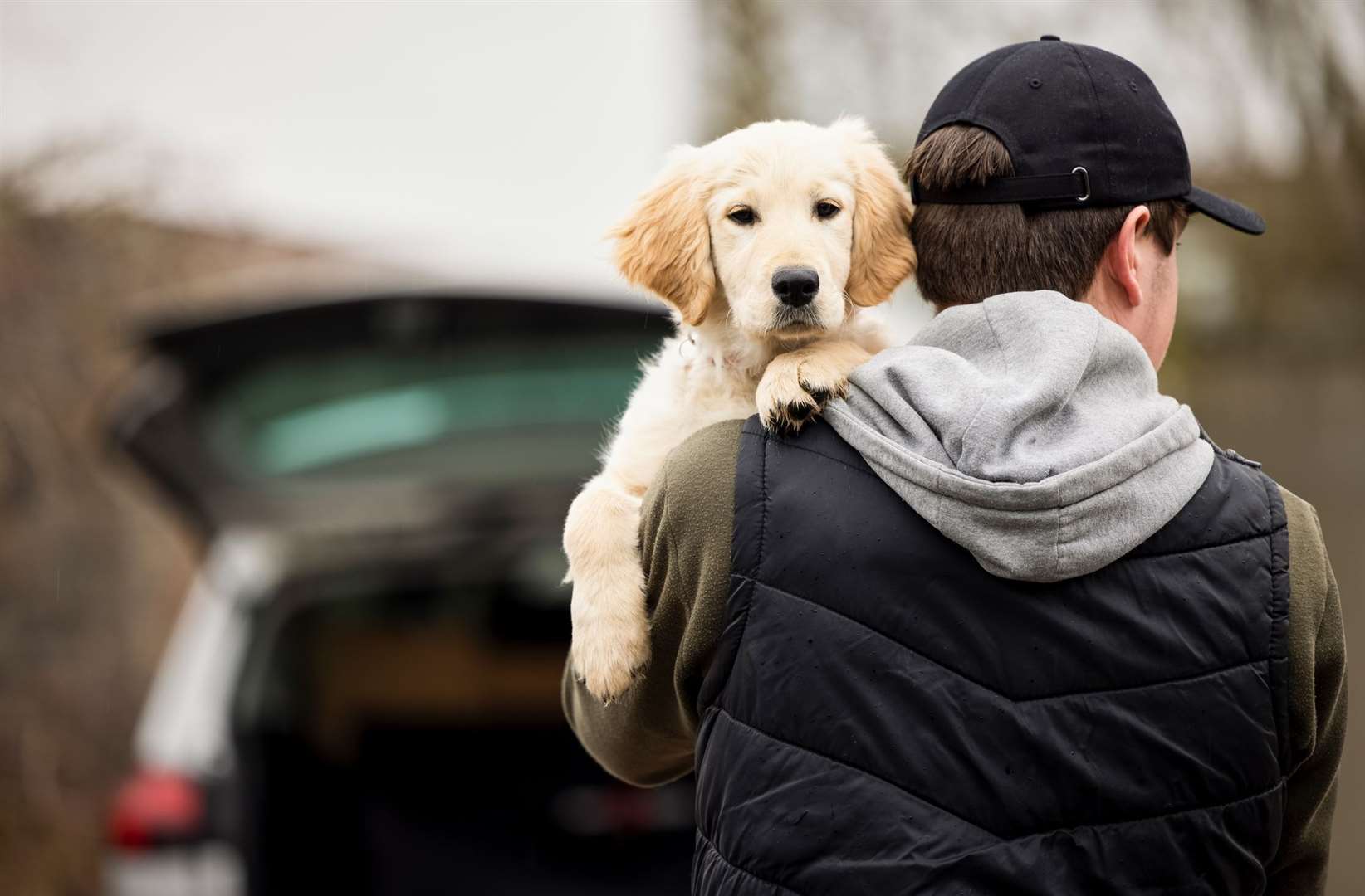 A government taskforce was set up in May to specifically look at rising pet thefts. Picture: iStock.