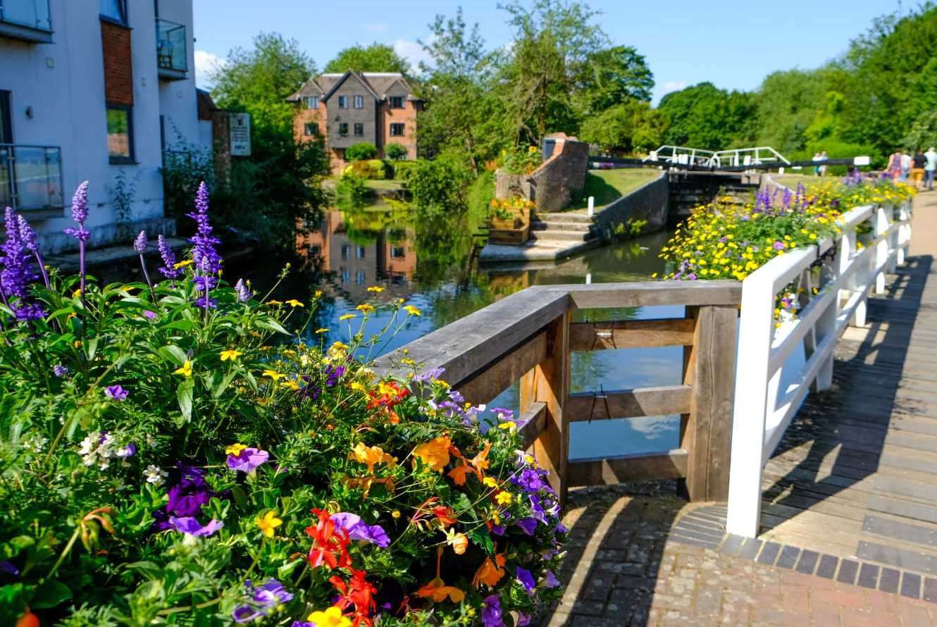 Do you want to see the town centre filled with flowers this summer?