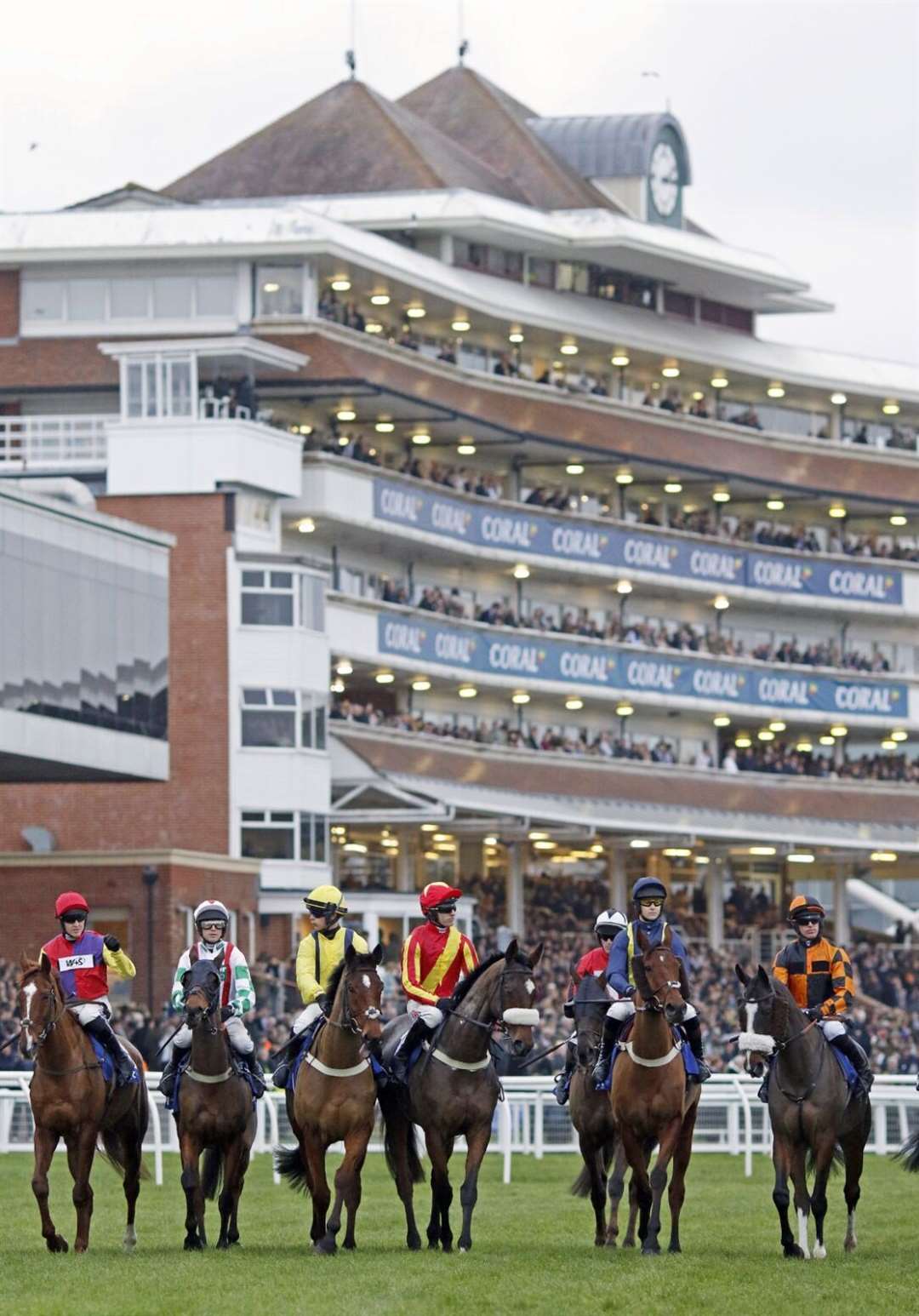 A packed Newbury grandstand on Gold Cup day
