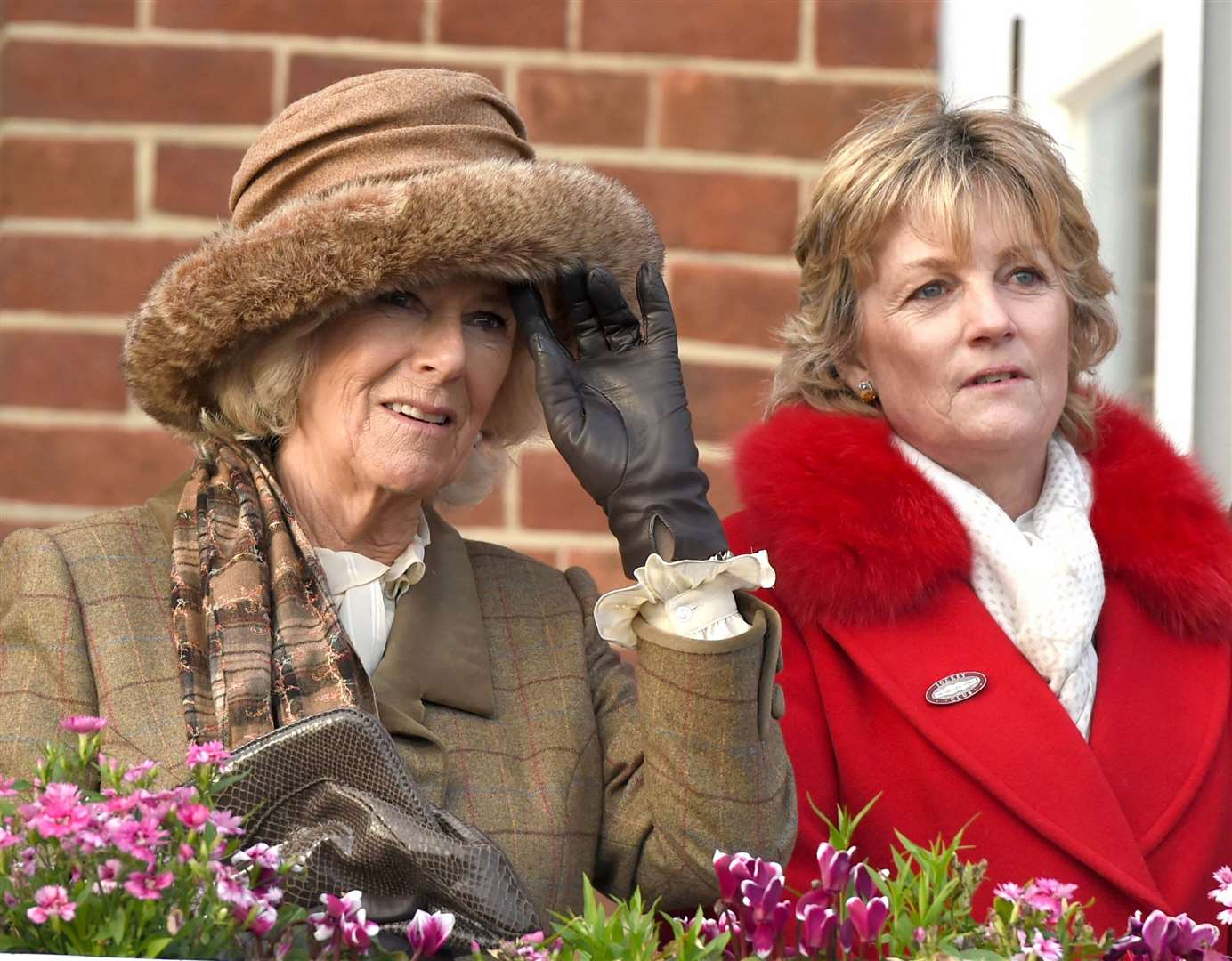 Hennessy gold cup at Newbury Racecourse, Camilla Duchess of Cornwall and Madeleine Gurdon and Ref: 48-0816