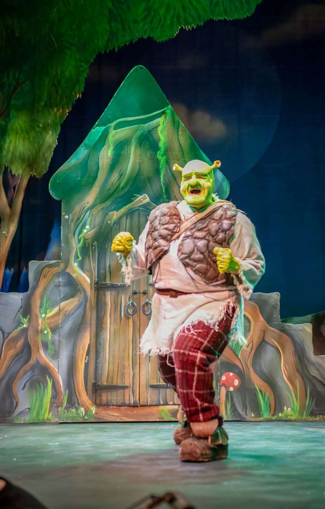 Neil Harvey as Shrek Photo Credit - Jamie Ledwith, Oddshoe Photography