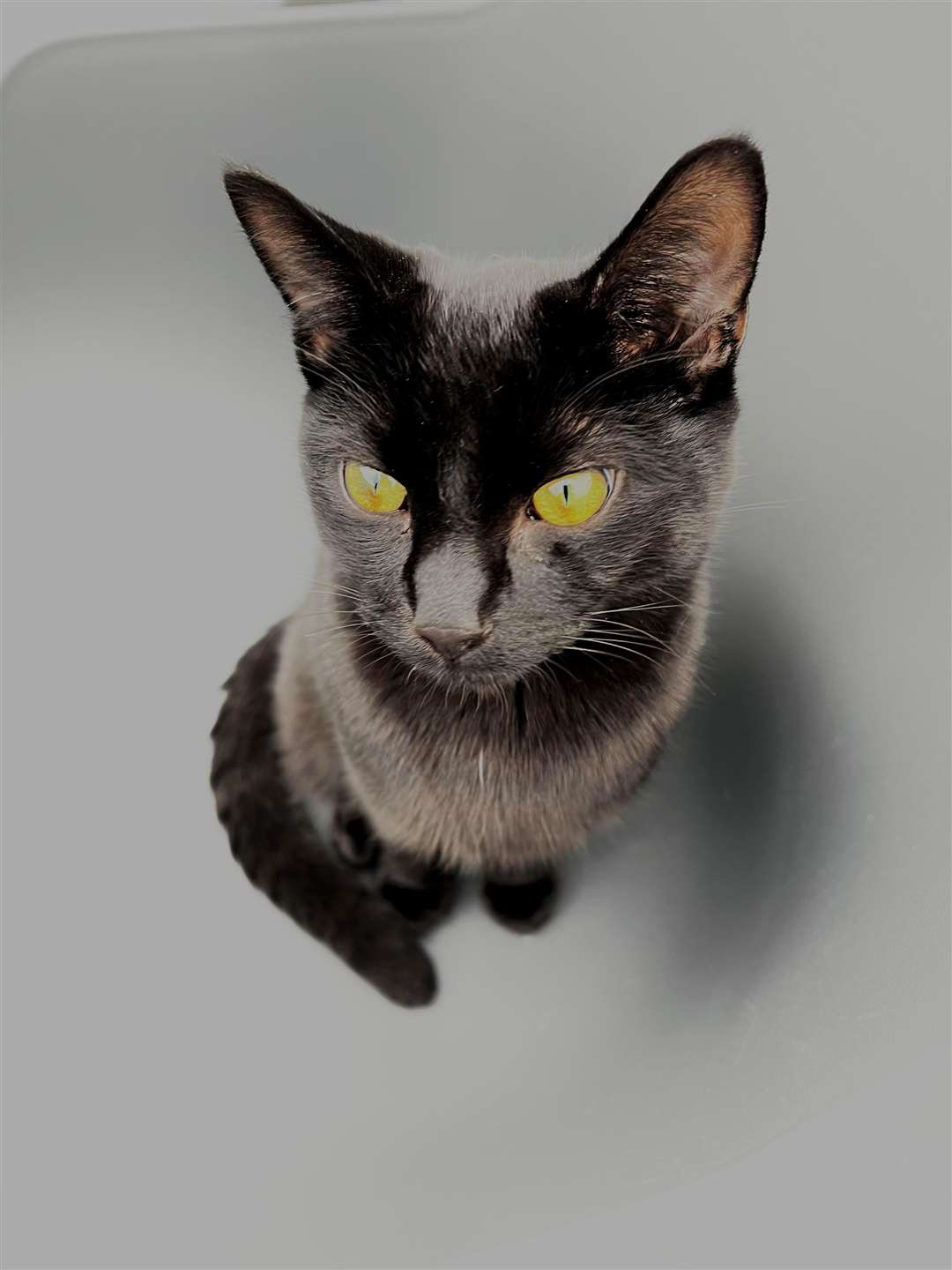 Ted has been missing from Clifton Road since July