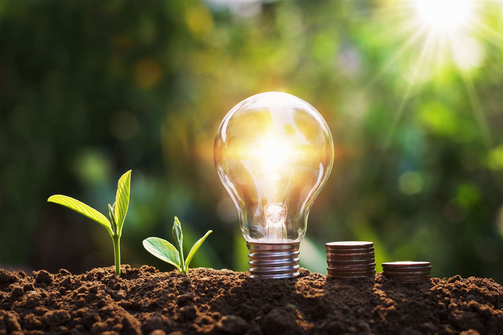 Greener Kingsclere’s first sustainability event is taking place at the Fieldgate Centre on February 25 and will focus on energy saving