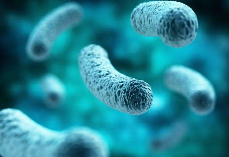 Urgent warning for travellers as Turkey tourists fall ill with food poisoning