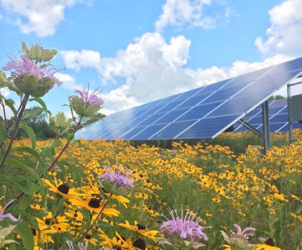 An example of what the Aldermaston Road solar farm could look like if plans are adopted. RWE, who is mooting the scheme, promises works to increase biodiversity