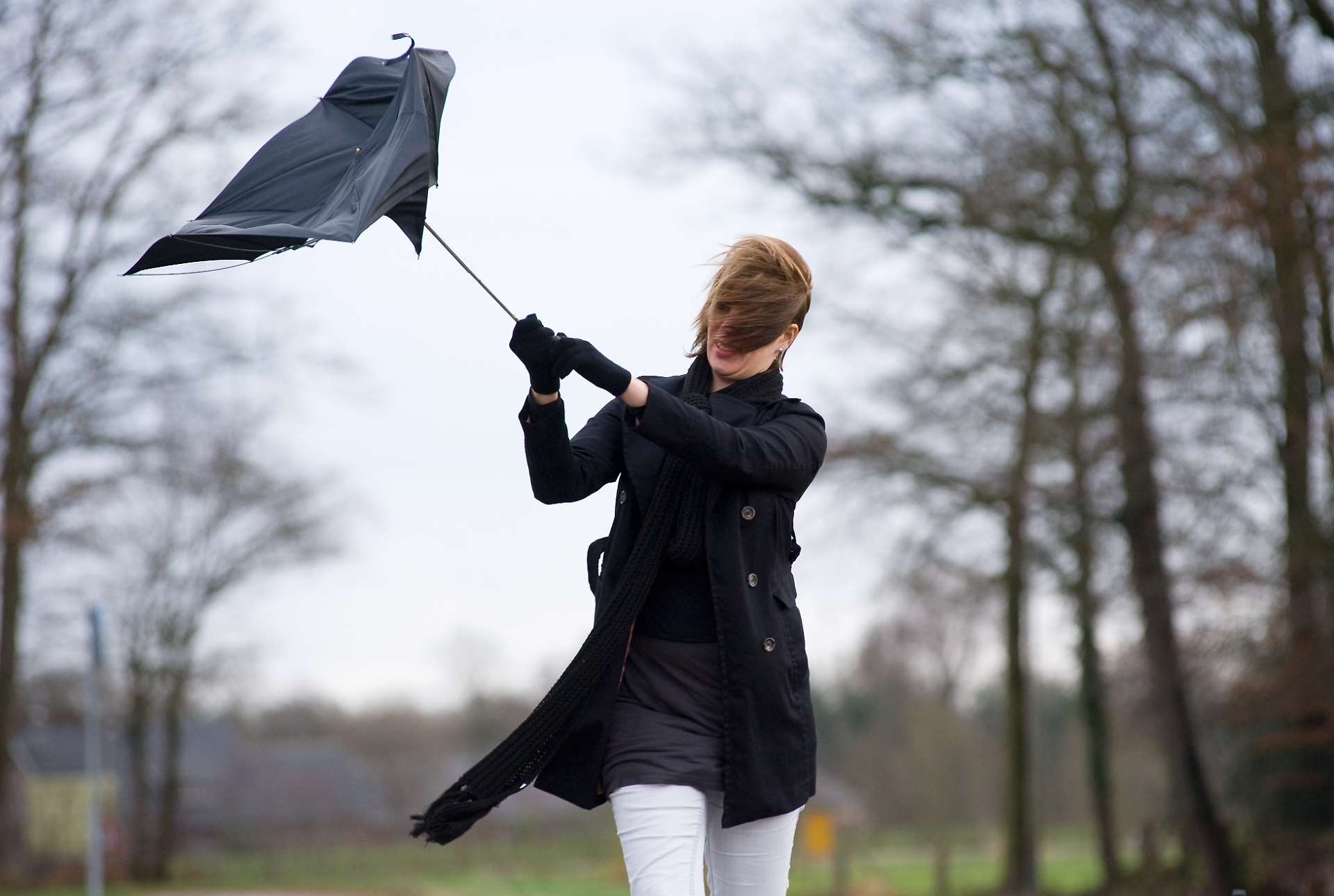 Warning Of High Winds Still In Place For Tomorrow warning-of-high-winds-still-in-place-for-tomorrow