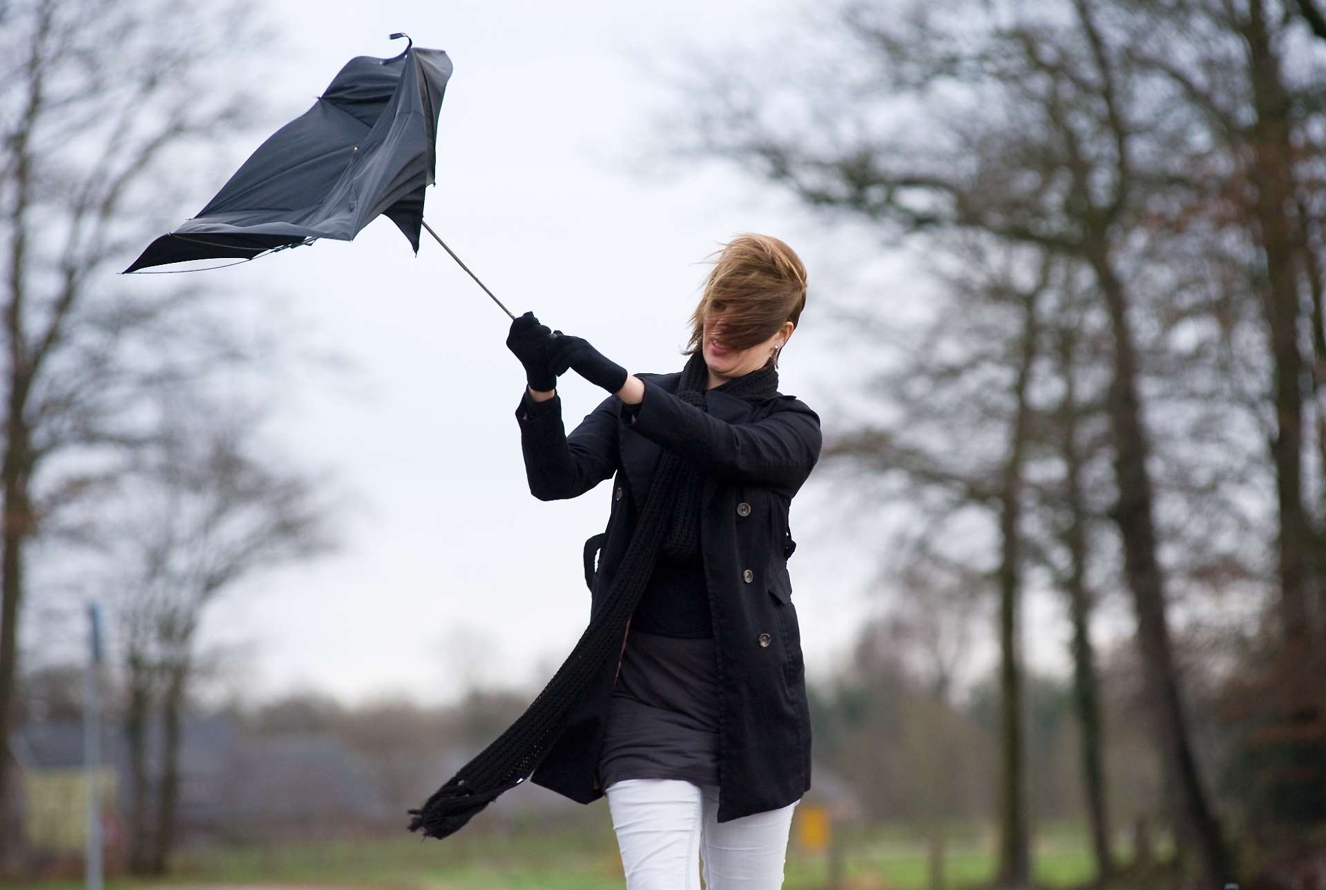 Warning of high winds still in place for tomorrow