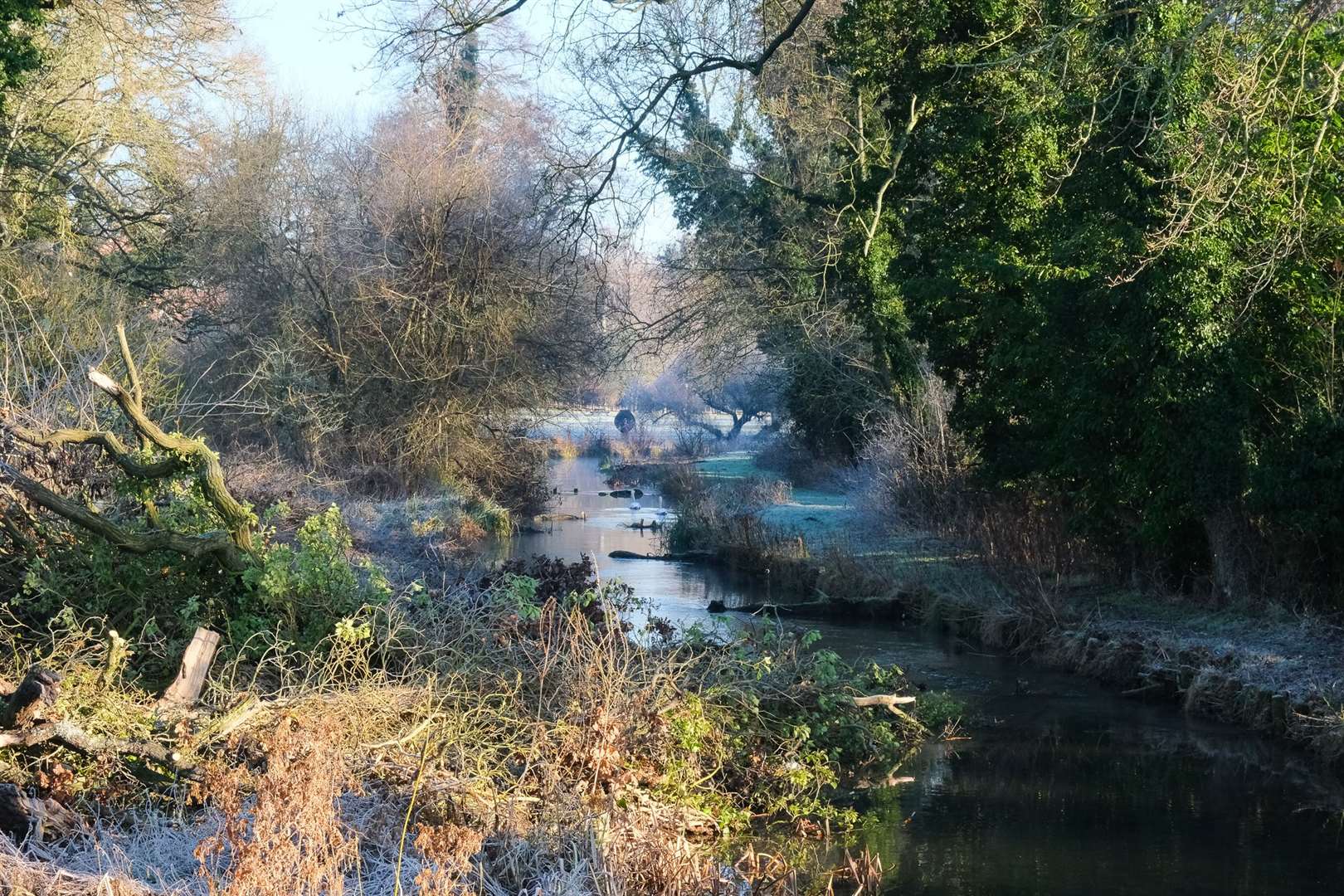 River Kennet at Barton Court