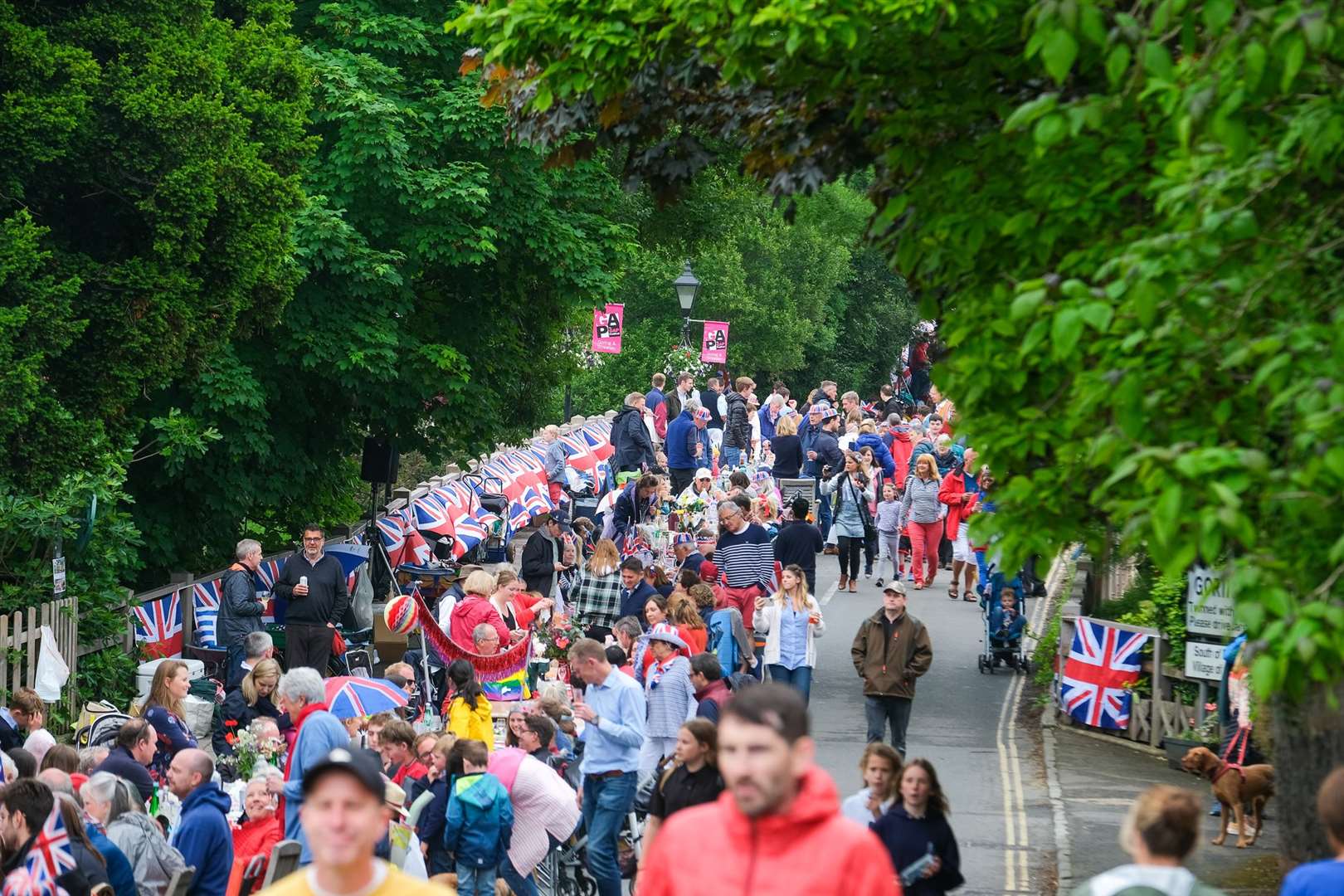Streatley and Goring Street Party. (57101125)