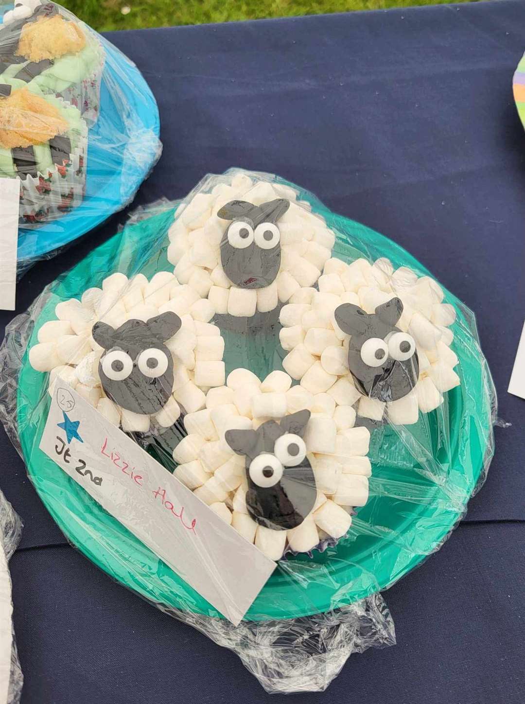 East Ilsley Sheep Fair 2024 photo credit Sarah Spink