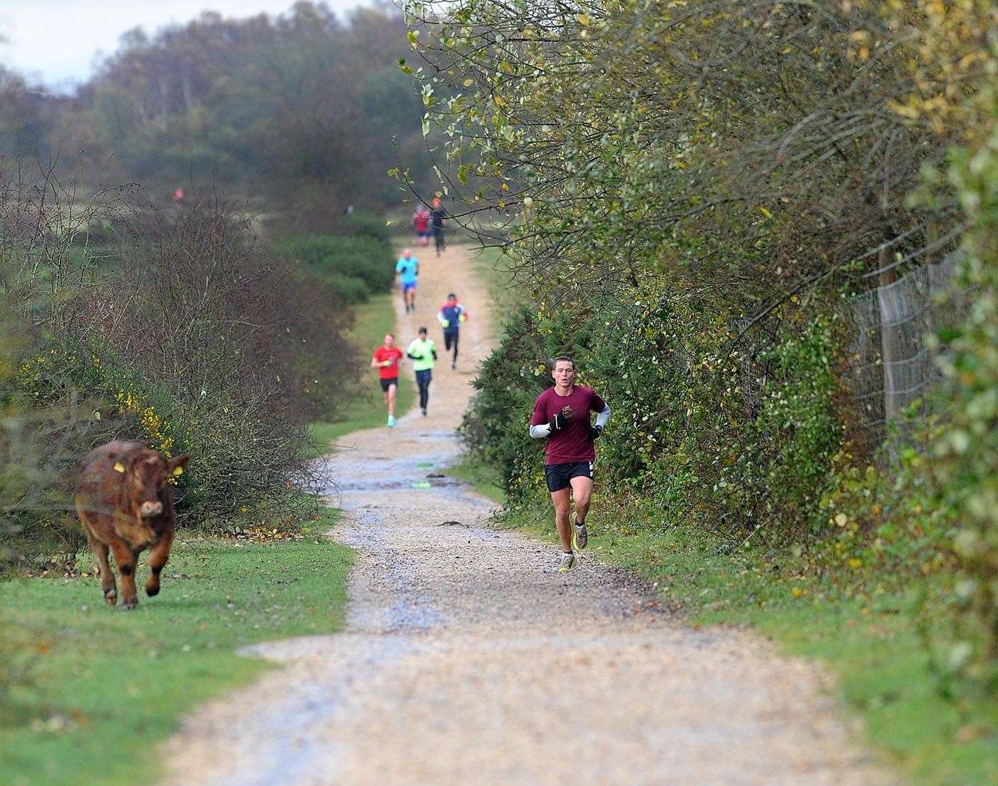 Local wildlife also took the opportunity to stretch their legs.