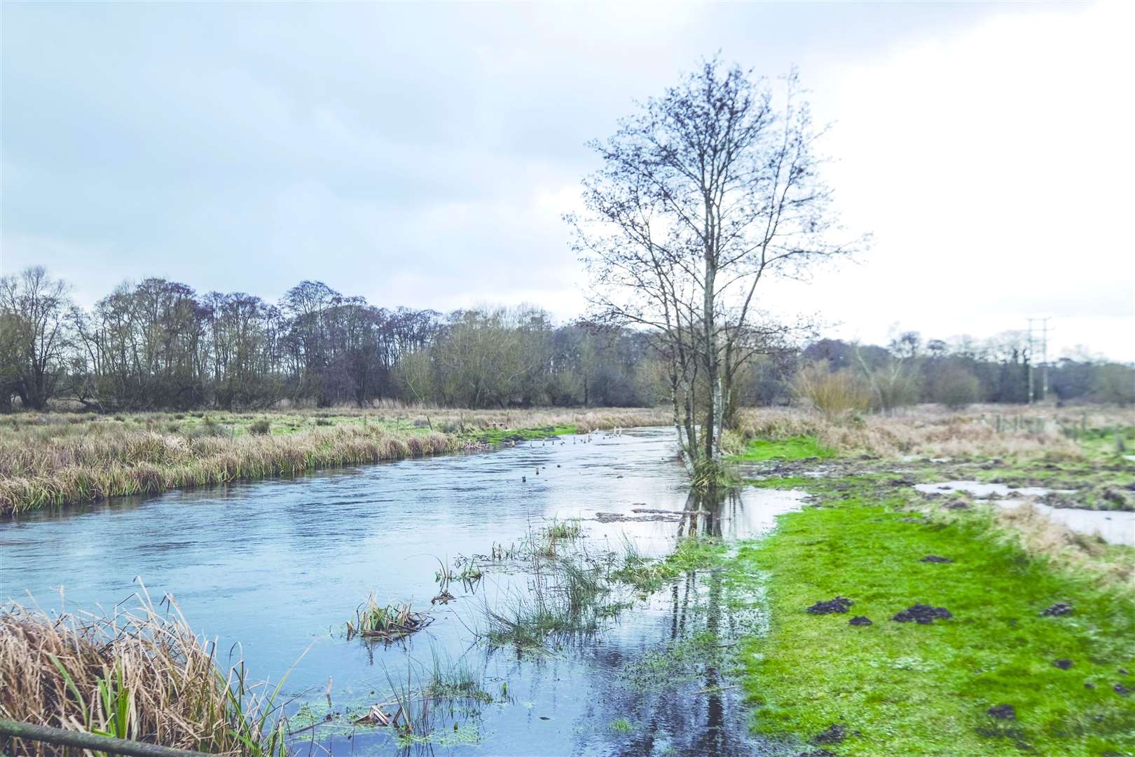 River Kennet at Barton Court